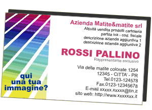modello professionale