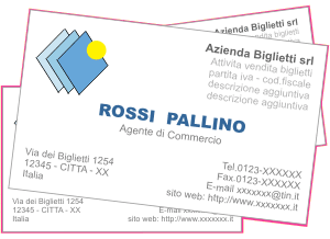 modello professionale